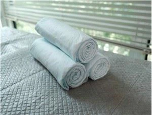 Bantalan Pelatihan Sekali Pakai Untuk Anjing Kucing, Kelinci