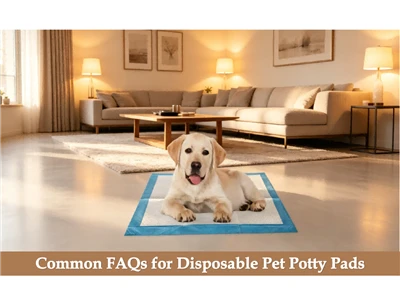FAQ Umum untuk Bantalan Potty Hewan Peliharaan Sekali Pakai