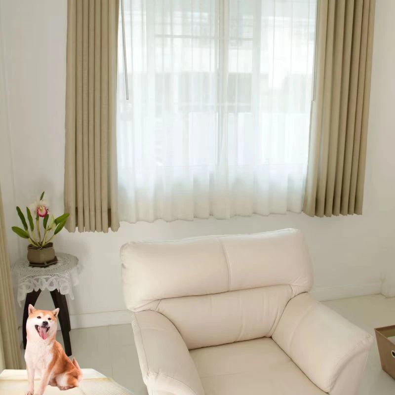 dog potty pad application dog potty pad application