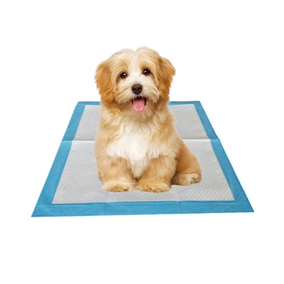 Bantalan Potty Anjing Sekali Pakai Antibakteri