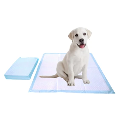 Kunyah-Bantalan Latihan Potty Sekali Pakai yang Tahan Untuk Anjing