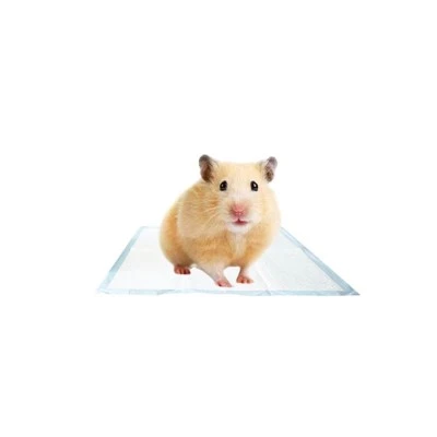 Hushpet Mini 25 * 25cm Pet Urine Pad