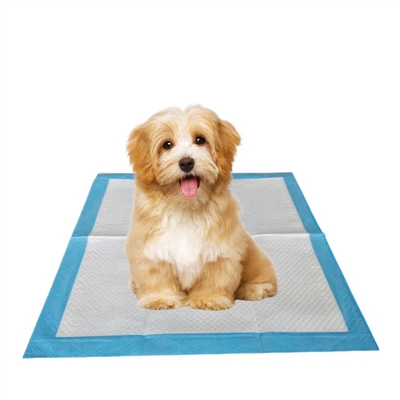 Bantalan Pelatihan Anak Anjing Sekali Pakai Terkompresi Vakum